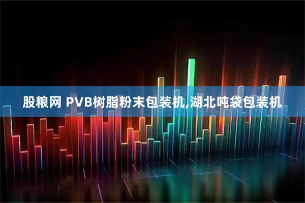 股粮网 PVB树脂粉末包装机,湖北吨袋包装机