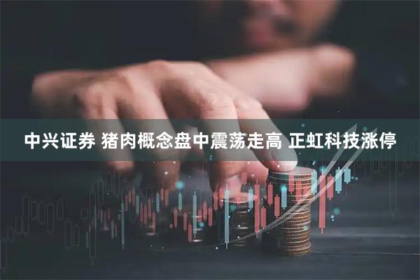 中兴证券 猪肉概念盘中震荡走高 正虹科技涨停