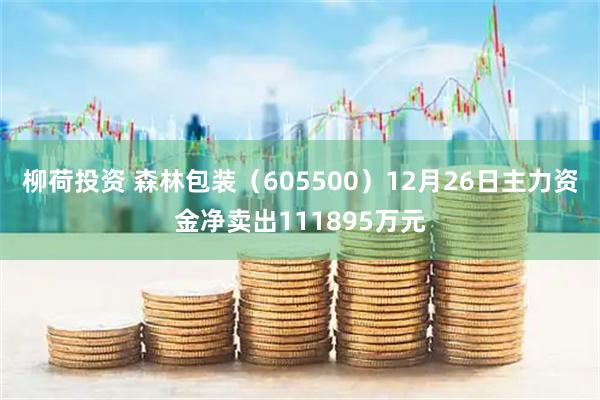 柳荷投资 森林包装（605500）12月26日主力资金净卖出111895万元
