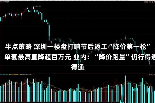 牛点策略 深圳一楼盘打响节后返工“降价第一枪”，单套最高直降超百万元 业内：“降价跑量”仍行得通